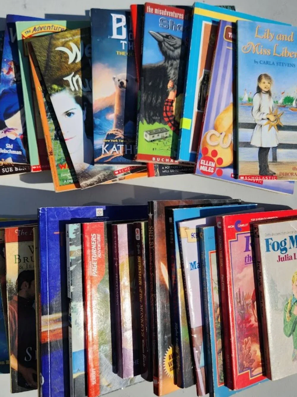 4 Book Bundle Lot Set Chapter Books Young Adult Literature Novels Mystery Books